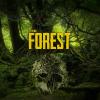 Игра The Forest
