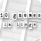 Игра 10 Gnomes in Liege