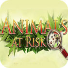 Игра Animals At Risk