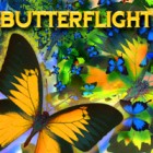 Игра Butterflight