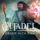 Игра Citadel: Forged with Fire