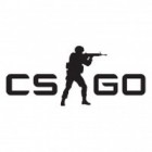 Игра Counter-Strike: Global Offensive