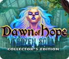 Игра Dawn of Hope: The Frozen Soul Collector's Edition