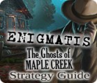 Игра Enigmatis: The Ghosts of Maple Creek Strategy Guide