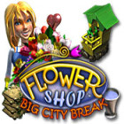 Игра Flower Shop: Big City Break