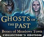 Игра Ghosts of the Past: Bones of Meadows Town Collector's Edition