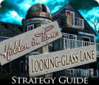Игра Hidden in Time: Looking-glass Lane Strategy Guide