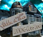 Игра Hidden in Time: Looking-glass Lane