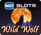 Игра IGT Slots Wild Wolf