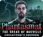 Игра Phantasmat: The Dread of Oakville Collector's Edition