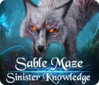 Игра Sable Maze: Sinister Knowledge Collector's Edition