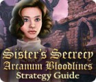Игра Sister's Secrecy: Arcanum Bloodlines Strategy Guide