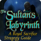 Игра The Sultan's Labyrinth: A Royal Sacrifice Strategy Guide