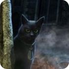 Игра The Curse of the Werewolves Collector's Edition