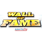 Игра Wall of Fame