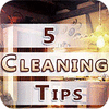 Игра Five Cleaning Tips