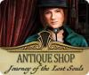 Игра Antique Shop: Journey of the Lost Souls