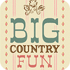 Игра Big Country Fun