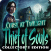 Игра Curse at Twilight: Thief of Souls Collector's Edition