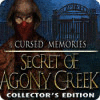 Игра Cursed Memories: The Secret of Agony Creek Collector's Edition