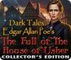 Игра Dark Tales: Edgar Allan Poe's The Fall of the House of Usher Collector's Edition