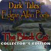 Игра Dark Tales: Edgar Allan Poe's The Black Cat Collector's Edition