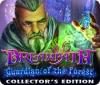 Игра Dreampath: Guardian of the Forest Collector's Edition