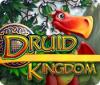 Игра Druid Kingdom