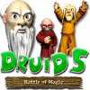 Игра Druid's Battle of Magic