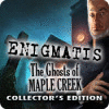 Игра Enigmatis: The Ghosts of Maple Creek Collector's Edition