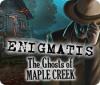 Игра Enigmatis: The Ghosts of Maple Creek