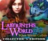 Игра Labyrinths of the World: When Worlds Collide Collector's Edition