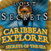 Игра Lost Secrets: Caribbean Explorer Secrets of the Sea