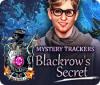 Игра Mystery Trackers: Blackrow's Secret