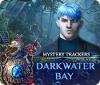 Игра Mystery Trackers: Darkwater Bay