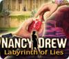 Игра Nancy Drew: Labyrinth of Lies