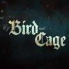 Игра Of bird and cage