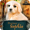 Игра Precious Sophie