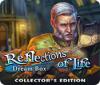 Игра Reflections of Life: Dream Box Collector's Edition
