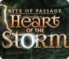 Игра Rite of Passage: Heart of the Storm