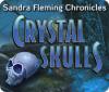 Sandra Fleming Chronicles: The Crystal Skulls game