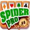 Игра Spider Pro