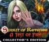 Игра Spirit of Revenge: A Test of Fire Collector's Edition