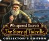 Игра Whispered Secrets: The Story of Tideville Collector's Edition