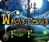 Игра Witch's Pranks: Frog's Fortune