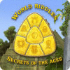 Игра World Riddles: Secrets of the Ages