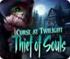 Игра Curse at Twilight: Thief of Souls