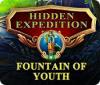 Hidden Expedition: The Fountain of Youth game